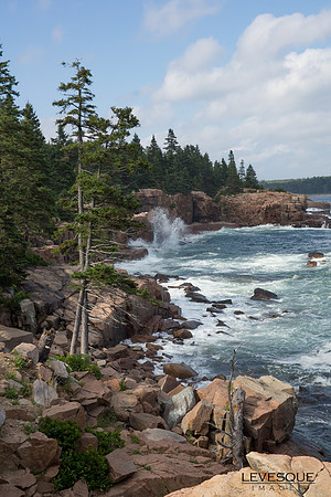 Bar Harbor Coastline